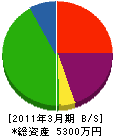 前澤塗装 貸借対照表 2011年3月期