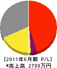 和田工業所 損益計算書 2011年6月期