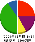 小林塗装工業 貸借対照表 2008年12月期