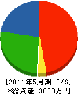 飯島造園土木 貸借対照表 2011年5月期