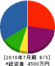 相沢組 貸借対照表 2010年7月期