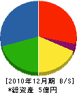 岩渕工務店 貸借対照表 2010年12月期