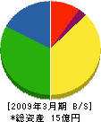 澤井 貸借対照表 2009年3月期