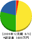 弘田建築 貸借対照表 2009年12月期