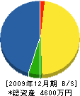 佐々木鉄工所 貸借対照表 2009年12月期