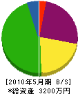 岩永工務店 貸借対照表 2010年5月期