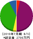 及川電気 貸借対照表 2010年7月期