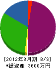山崎建設 貸借対照表 2012年3月期