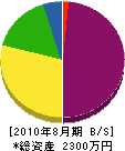 沢畑土木 貸借対照表 2010年8月期