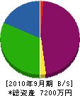 ヤマト空調 貸借対照表 2010年9月期