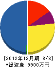 元木組 貸借対照表 2012年12月期