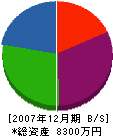 遠藤建設 貸借対照表 2007年12月期