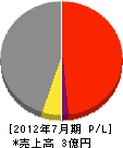 瀬川重機 損益計算書 2012年7月期