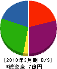 山村組 貸借対照表 2010年3月期