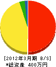 豊高総合建設 貸借対照表 2012年3月期