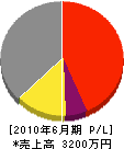 橋本工業 損益計算書 2010年6月期