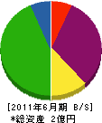 埼玉ニットー 貸借対照表 2011年6月期