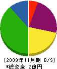 クリーン雲仙 貸借対照表 2009年11月期