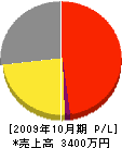 山崎電気工事 損益計算書 2009年10月期