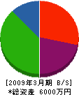 阪本建材 貸借対照表 2009年3月期