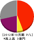 橋本組 損益計算書 2012年10月期