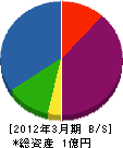 竹市電気 貸借対照表 2012年3月期