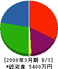 伊藤電工社 貸借対照表 2008年3月期