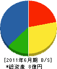 斉藤設備機工 貸借対照表 2011年6月期