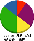 佐々木塗装工業 貸借対照表 2011年1月期