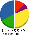 須納瀬設備工業所 貸借対照表 2011年6月期