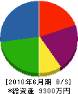 桜電設 貸借対照表 2010年6月期