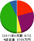 長谷川土建 貸借対照表 2011年6月期