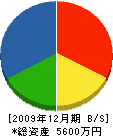 坂根産業 貸借対照表 2009年12月期