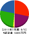 大川電気商会 貸借対照表 2011年7月期