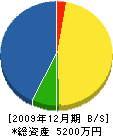 松本電気商会 貸借対照表 2009年12月期