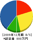 山本電工 貸借対照表 2009年12月期