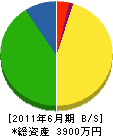 笹部畳商店 貸借対照表 2011年6月期