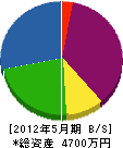 熊谷エンジニアリング 貸借対照表 2012年5月期