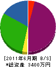 渡辺造園 貸借対照表 2011年6月期