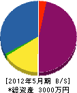大阪レジン建工 貸借対照表 2012年5月期