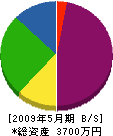 早川建設 貸借対照表 2009年5月期