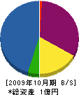 北川建設 貸借対照表 2009年10月期
