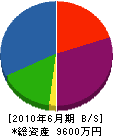 朝日土建 貸借対照表 2010年6月期