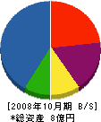 共立 貸借対照表 2008年10月期