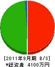 丸優電気 貸借対照表 2011年9月期