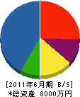 誠進電業社 貸借対照表 2011年6月期