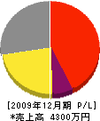 本田開発コンサルタント 損益計算書 2009年12月期