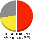 笹野水道工業 損益計算書 2010年6月期