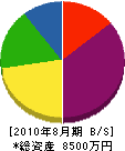 武山工業 貸借対照表 2010年8月期