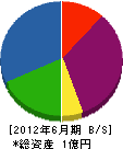 西日本電工 貸借対照表 2012年6月期